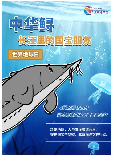 守护国宝中华鲟 北京海洋馆在行动